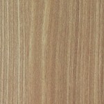 EW 7861 NT Olive Taxus Chinensis