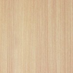 EW 7862 NT Rough Taxus Chinensig