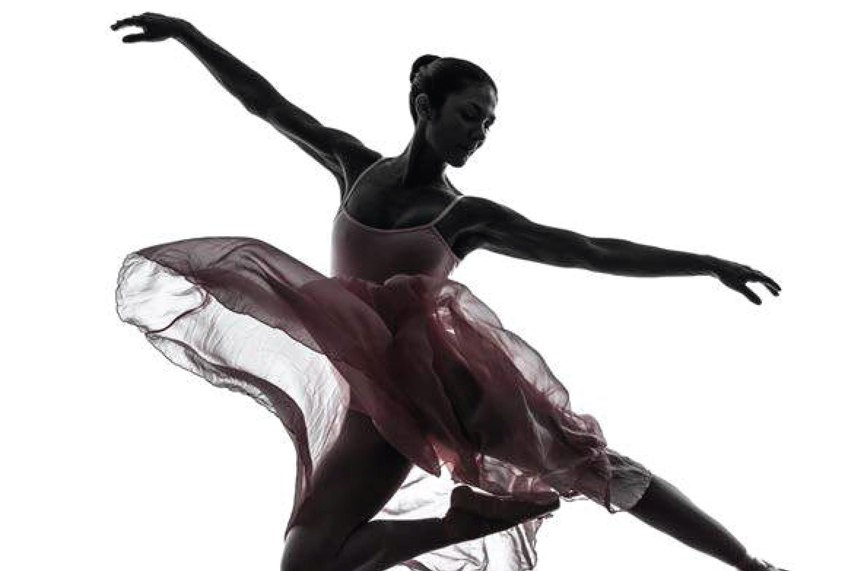 SILHOUETTE
