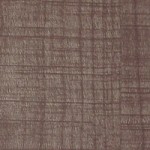 EW 3221 Tamo Sawcut Lucida