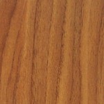 EW 9134 Corrado Noce Roma