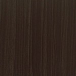EW 9832 Equidae